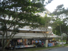 Blk 263 Serangoon Central Drive (Serangoon), HDB 3 Rooms #278752